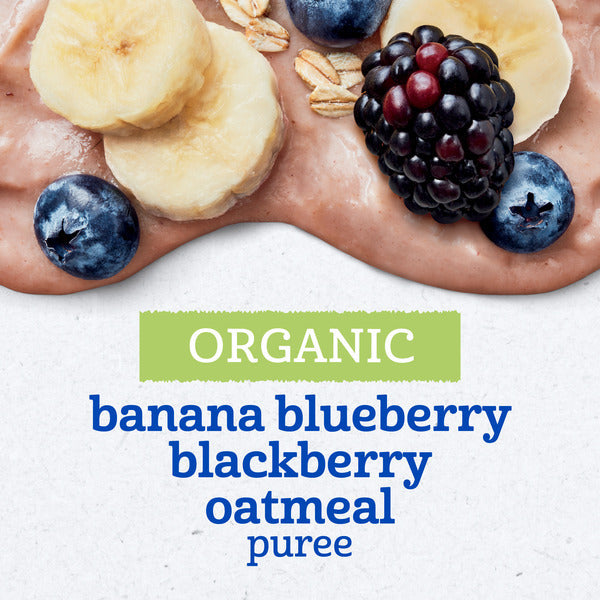 Gerber Stage 2 Baby Food Organic Banana Blueberry Blackberry Oatmeal Baby Puree
