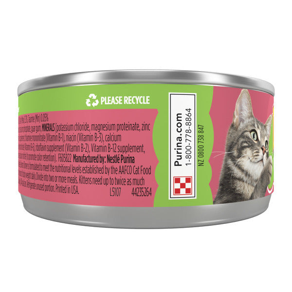 Purina Friskies Wet Cat Food Pate, Salmon Dinner