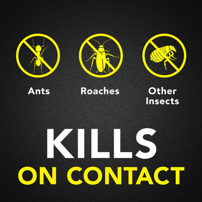 Raid® Ant and Roach Killer Insecticide Aerosol Spray, Fragrance Free