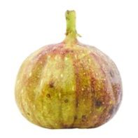 Fresh Energy Mission Fig️  DestGlow