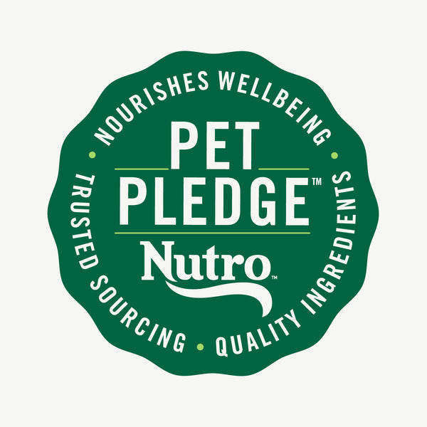 NUTRO Wholesome Essentials Indoor Dry Cat Food, Chicken &amp; Brown Rice Recipe, 5 lbs.