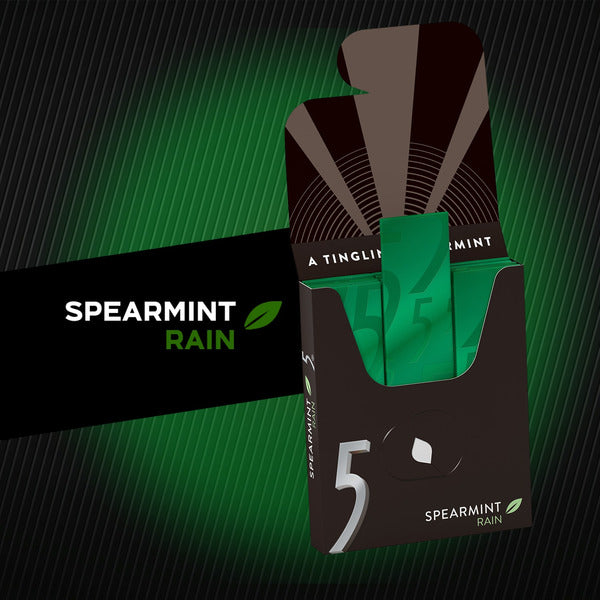 5 Gum Spearmint Rain Sugar Free Chewing Gum Bulk