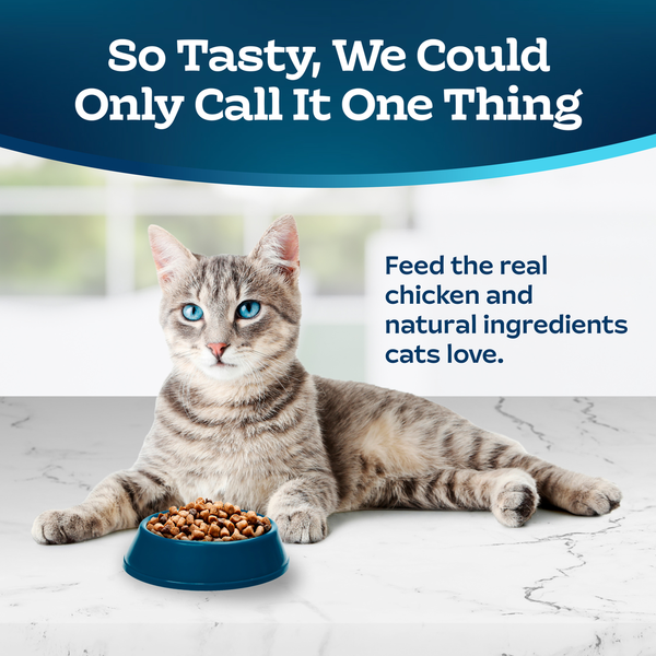 Blue Buffalo Tastefuls Natural Dry Food for Active Adult Cats, Chicken and Brown Rice