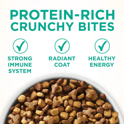 Purina ONE Natural Dry Cat Food, Sensitive Skin &amp; Stomach Formula