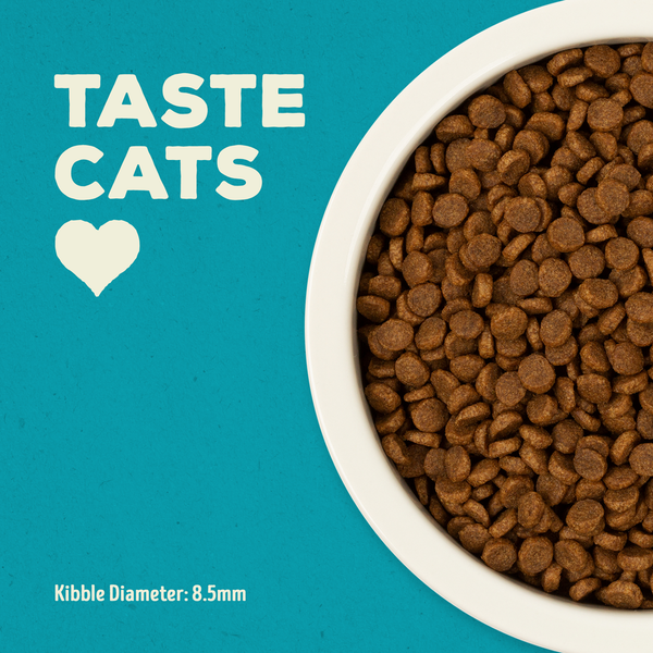Supreme Source Grain Free Whitefish Meal and Salmon Meal Recipe Cat Food  DestGlow
