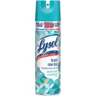 Lysol Disinfectant, Sanitizing and Antibacterial S...
️  DestGlow