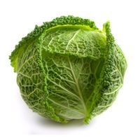 Green Savoy Cabbage️  DestGlow