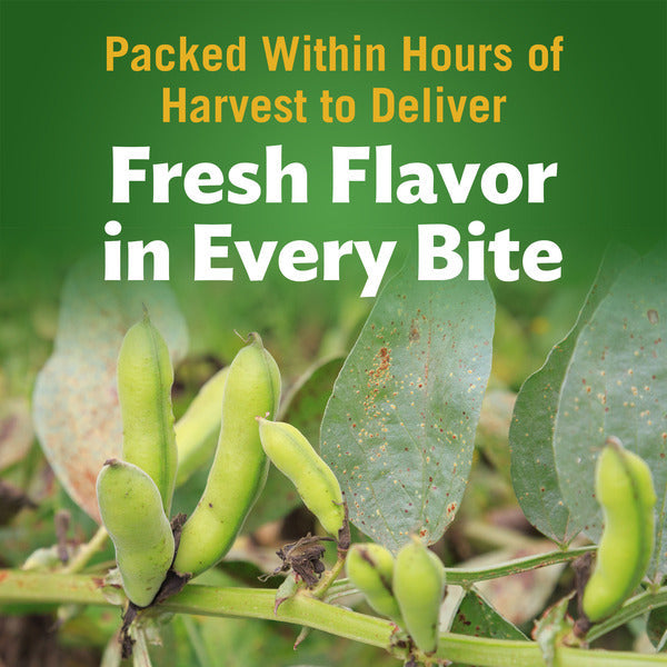 Del Monte Lima Beans, Green  DestGlow