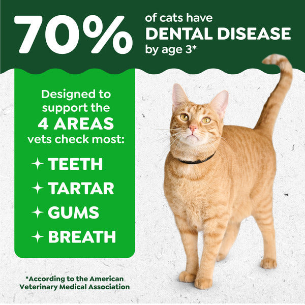 GREENIES Feline Adult Natural Dental Cat Treats, Catnip Flavor, 4.6 oz. Pouch  DestGlow