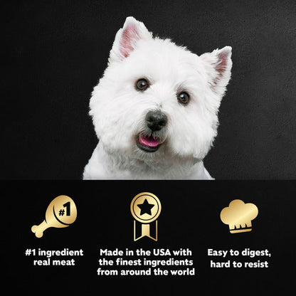 Cesar Loaf in Sauce Adult Wet Dog Food Beef Recipe, 3.5 oz. Tray  DestGlow