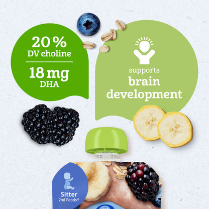 Gerber Stage 2 Baby Food Organic Banana Blueberry Blackberry Oatmeal Baby Puree