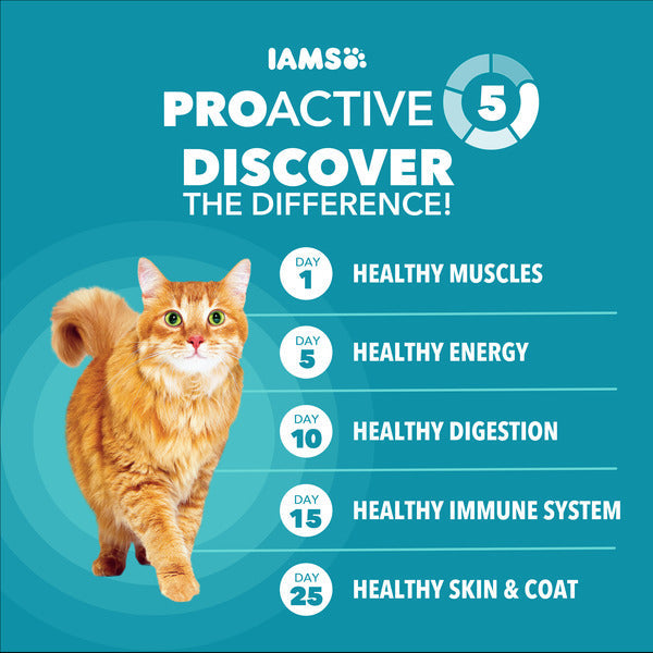 IAMS PROACTIVE HEALTH Adult Indoor Weight Control &amp; Hairball Care Dry Cat Food with Chicken &amp; Turkey Cat Kibble, 16 lb. Bag  DestGlow