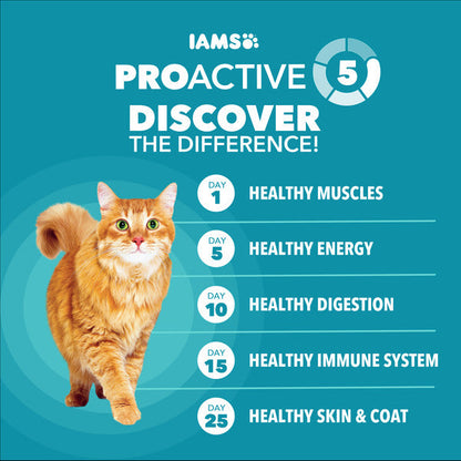 IAMS PROACTIVE HEALTH Adult Indoor Weight Control &amp; Hairball Care Dry Cat Food with Chicken &amp; Turkey Cat Kibble, 16 lb. Bag  DestGlow
