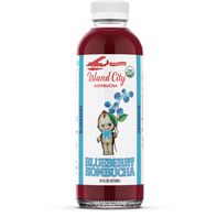Island City Kombucha Organic Blueberry Kombucha️  DestGlow