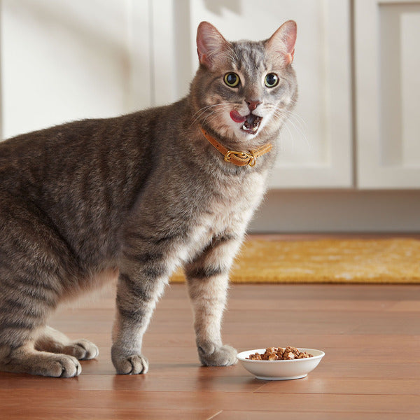 Meow Mix Tenders in Sauce with Turkey and Giblets Wet Cat Food