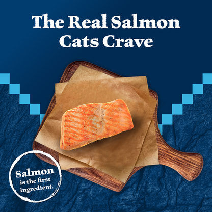 Blue Buffalo Wilderness High Protein Grain Free, Natural Adult Pate Wet Cat Food, Salmon  DestGlow