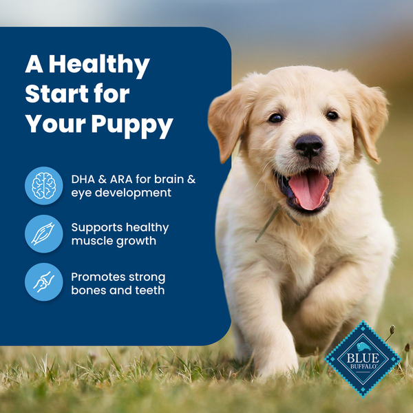 Blue Buffalo Life Protection Formula Natural Puppy Dry Dog Food, Chicken and Brown Rice  DestGlow