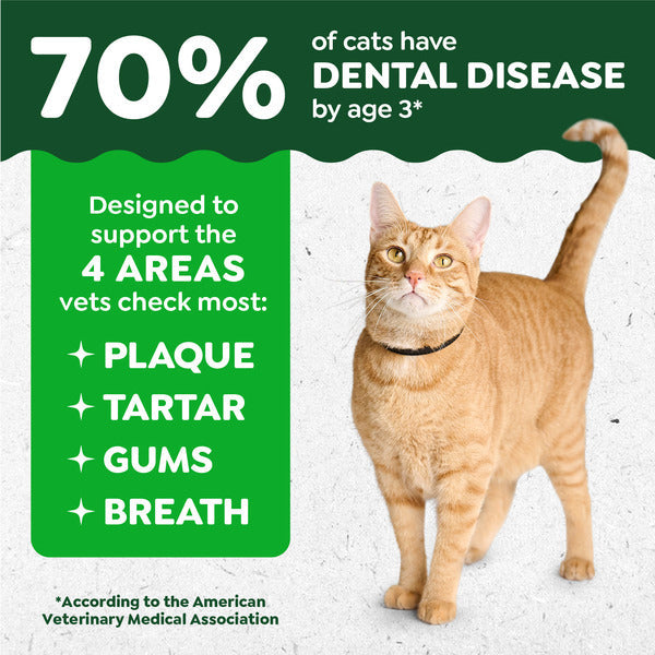 GREENIES Feline Dental Cat Treats, Catnip Flavor Tub  DestGlow