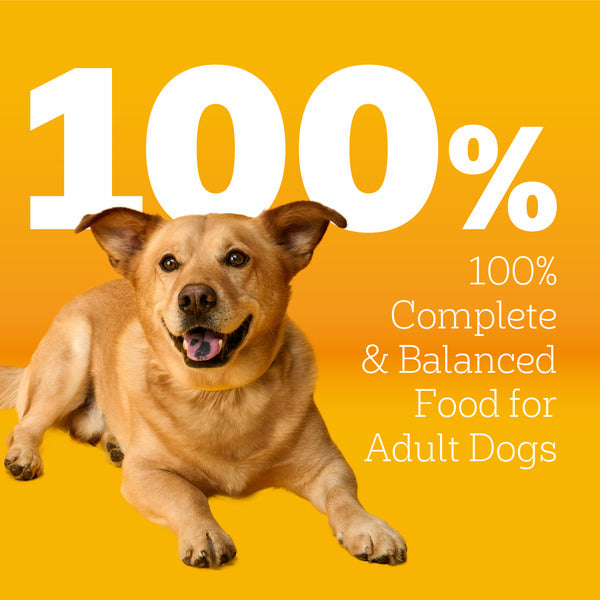 Pedigree Adult Small Dog Dry Dog Food, Roasted Chicken and Vegetable Flavor, 3.5 lb. Bag  DestGlow
