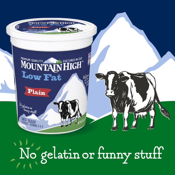 Mountain High Yoghurt Low Fat Plain Yogurt  DestGlow