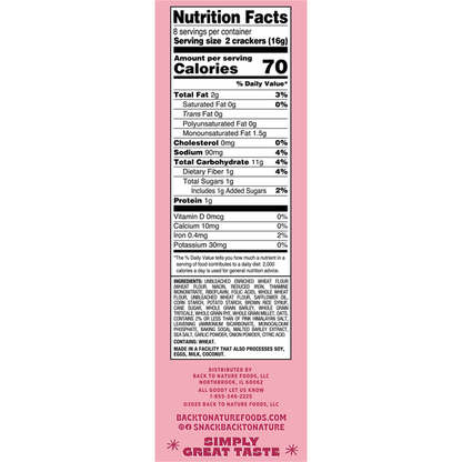 Back to Nature Pink Himalayan Salt Flatbread Crackers  DestGlow