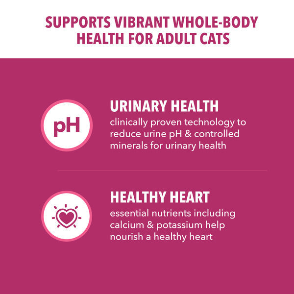 IAMS PROACTIVE HEALTH Adult Urinary Tract Healthy Dry Cat Food with Chicken Cat Kibble, 3.5 lb. Bag  DestGlow