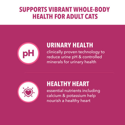 IAMS PROACTIVE HEALTH Adult Urinary Tract Healthy Dry Cat Food with Chicken Cat Kibble, 3.5 lb. Bag  DestGlow