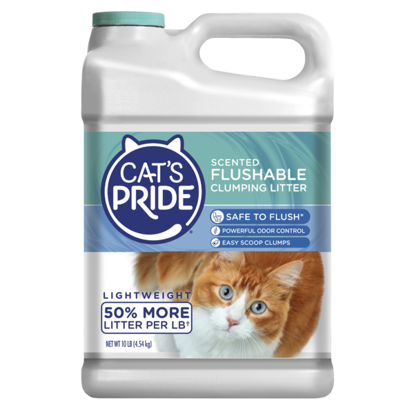 Cat&