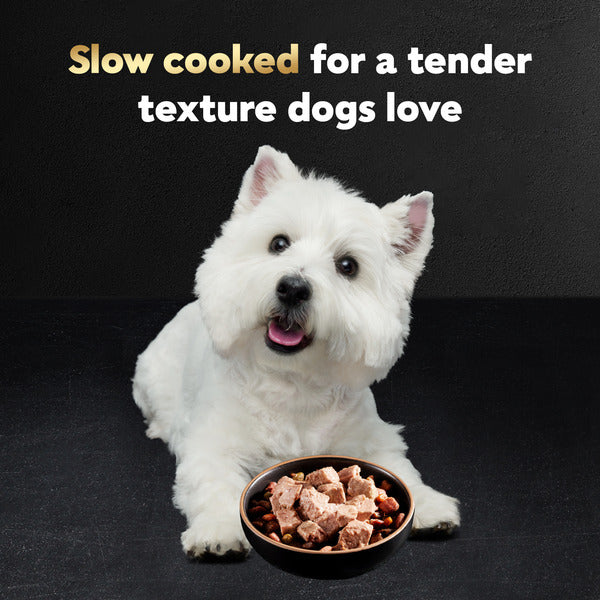 Cesar Loaf in Sauce Adult Wet Dog Food Beef Recipe, 3.5 oz. Tray  DestGlow
