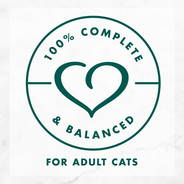 Purina Fancy Feast Wet Cat Food, Medleys Shredded Turkey Fare With Garden Greens in a Savory Broth  DestGlow