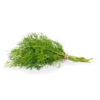 Organic Dill Bunch️  DestGlow