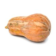 Squash️  DestGlow