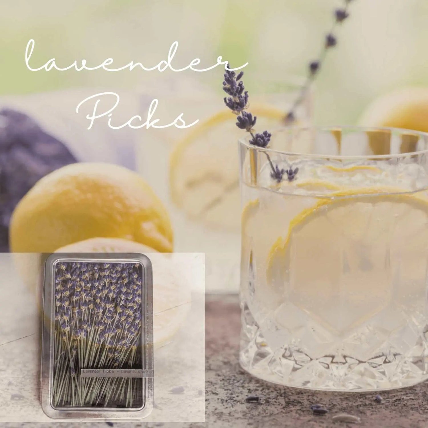 Lavender Picks - Dried Stems by Lavender Life Company