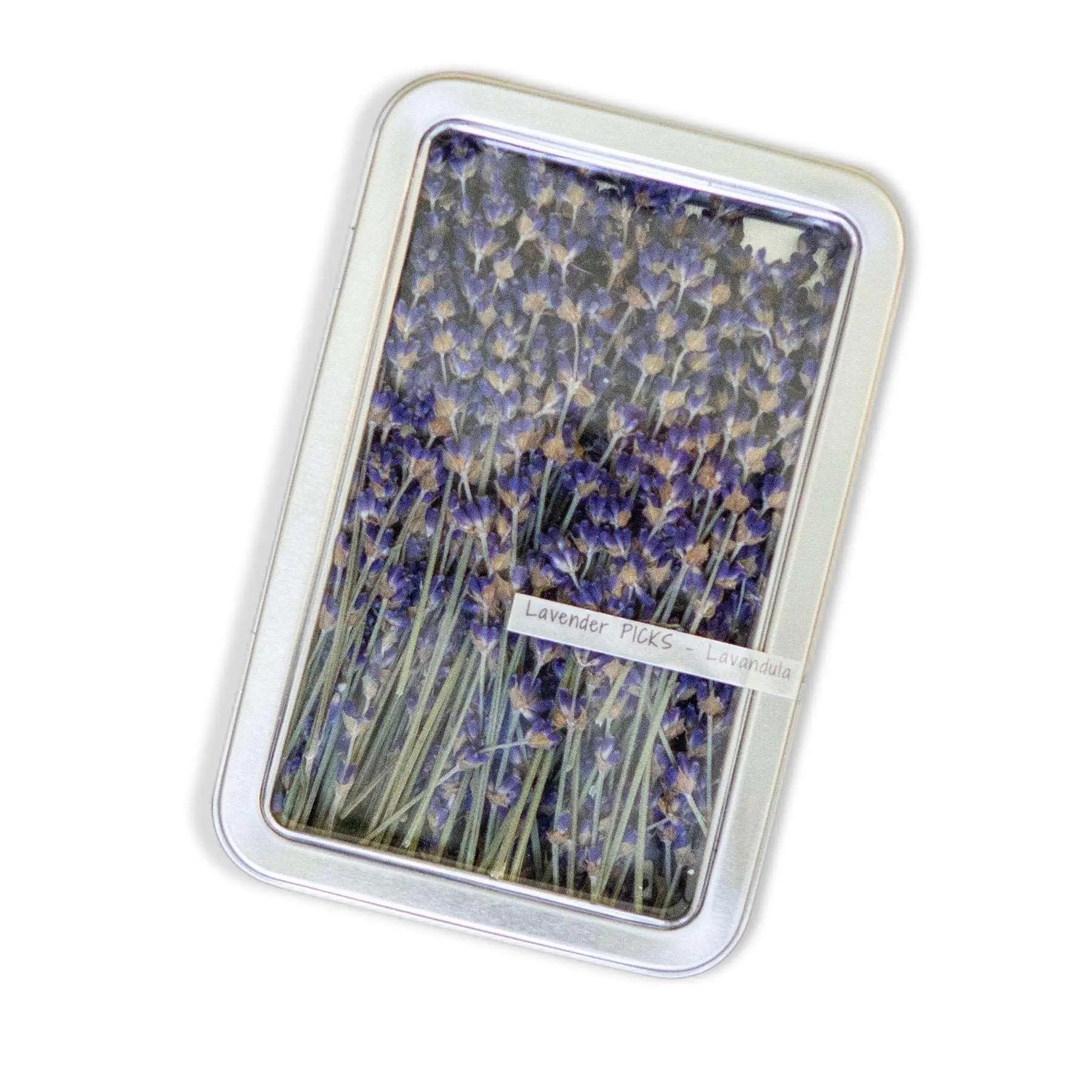 Lavender Picks - Dried Stems by Lavender Life Company