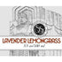 Shannons Soaps Lavender Lemongrass Soothing Post-Shave Splash 100ml 