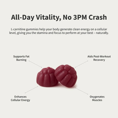 L-Carnitine Sugar-Free Blueberry Gummies by Snap Supplements