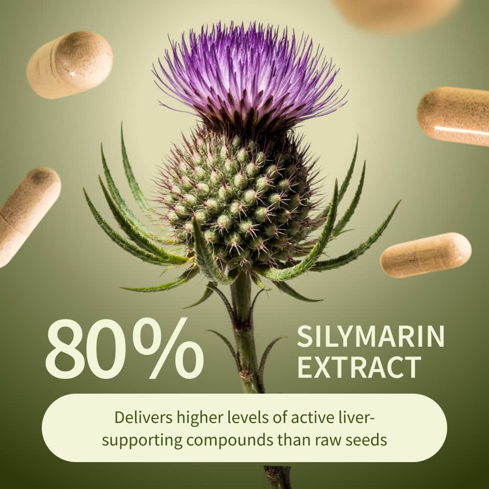 Liver Health &amp; Detox - Buy 3, Get 2 FREE! by Snap Supplements
