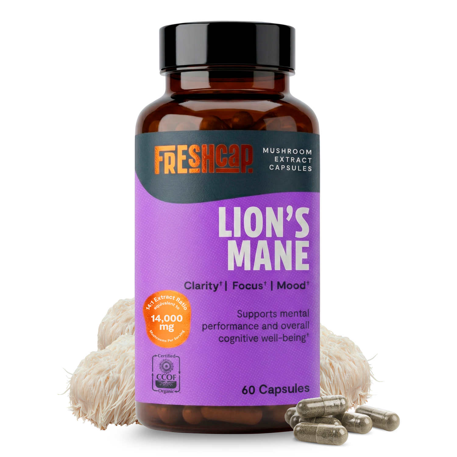 Lion&
