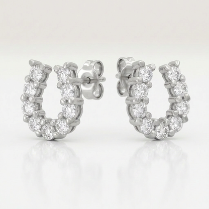 Lucky Horseshoe Earring Set