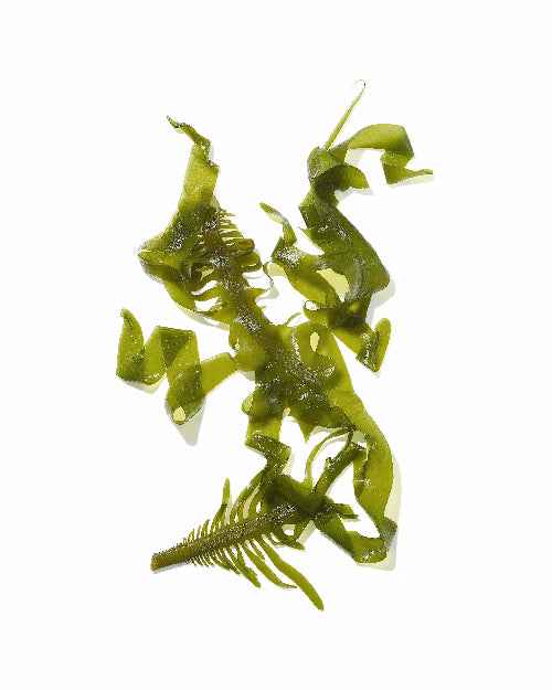 Mekabu Hydrating Salon Size Conditioner