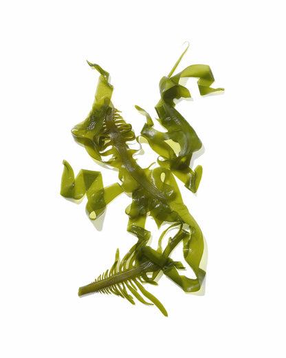 Mekabu Hydrating Travel Shampoo &amp; Conditioner