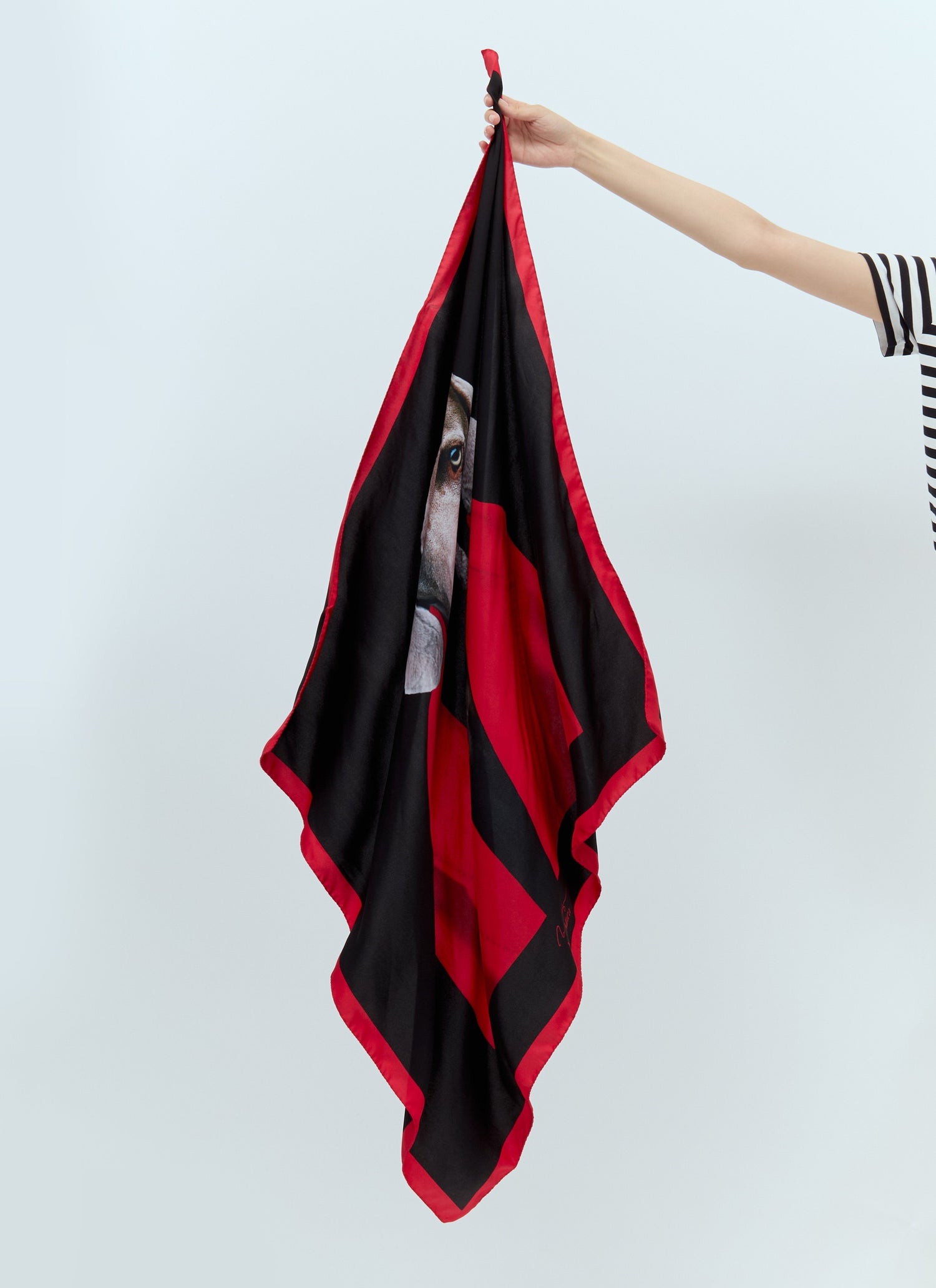 Max Mara Women Printed Silk Scarf by Luosophy
