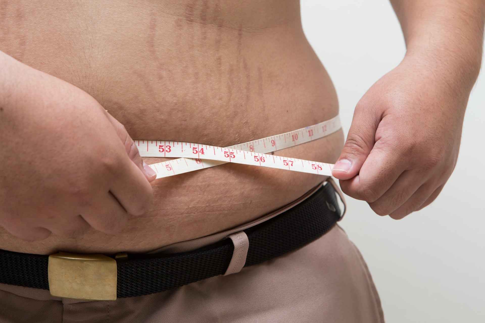 Dr. Jel LF (Longevity Fit)