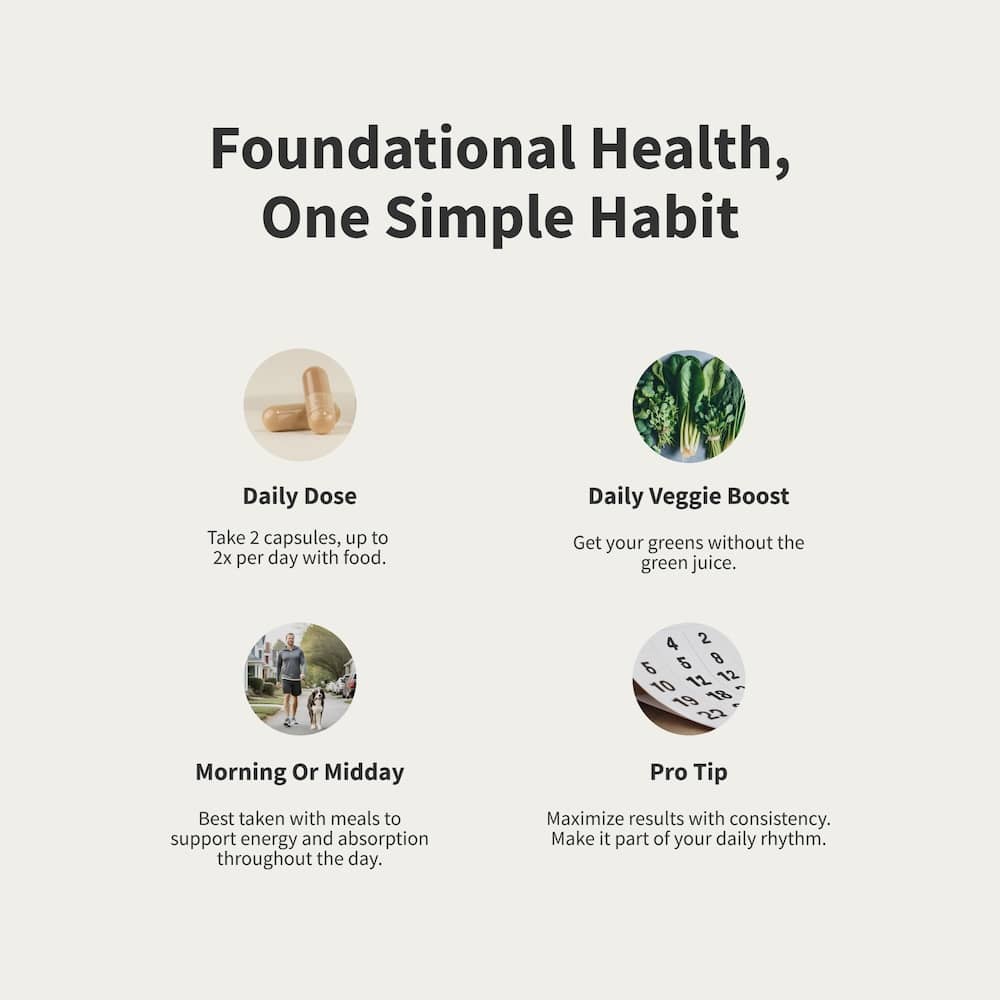 Daily Multivitamin for Men by Snap Supplements