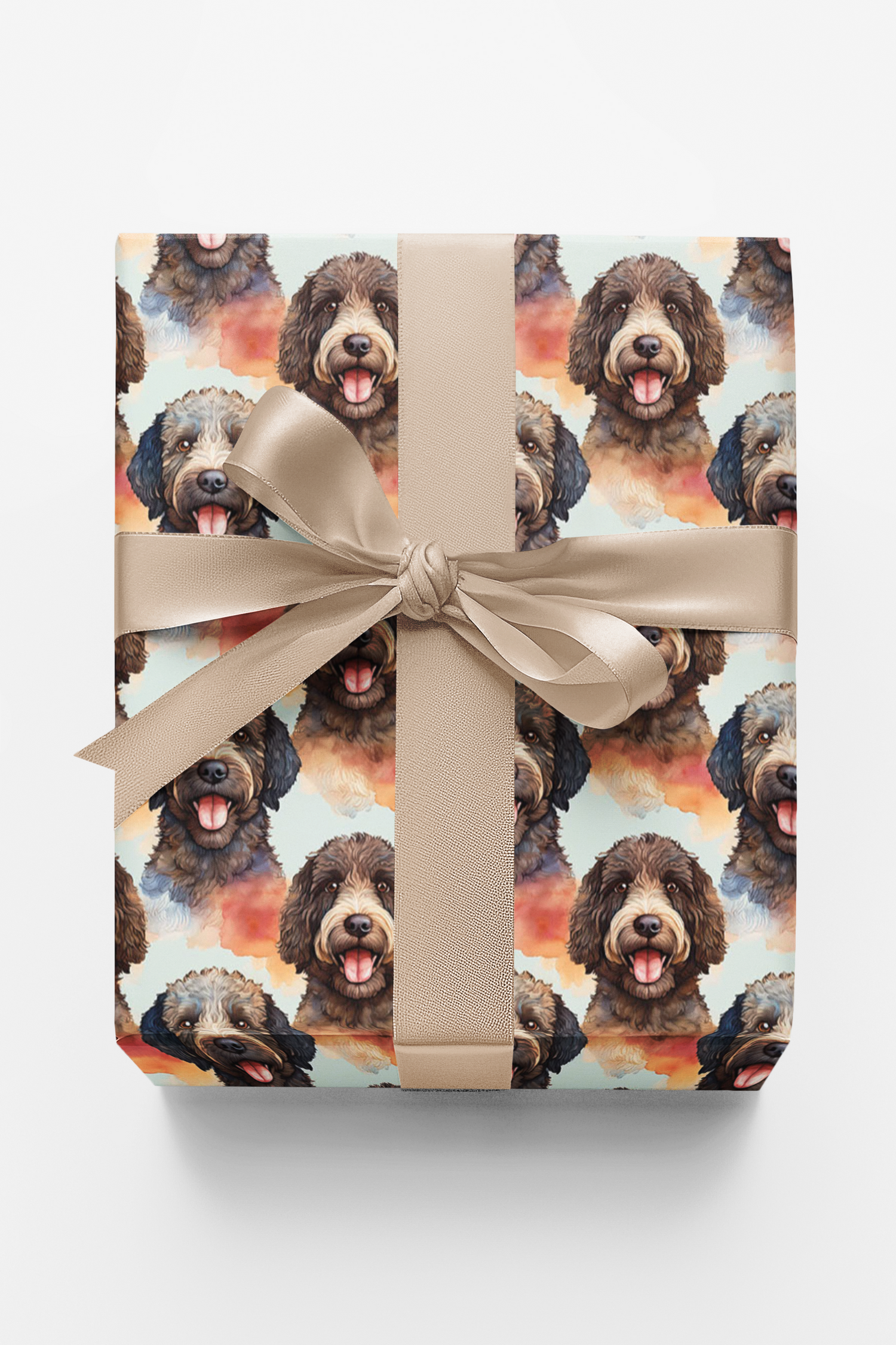 Snuggly Portuguese Water Dog