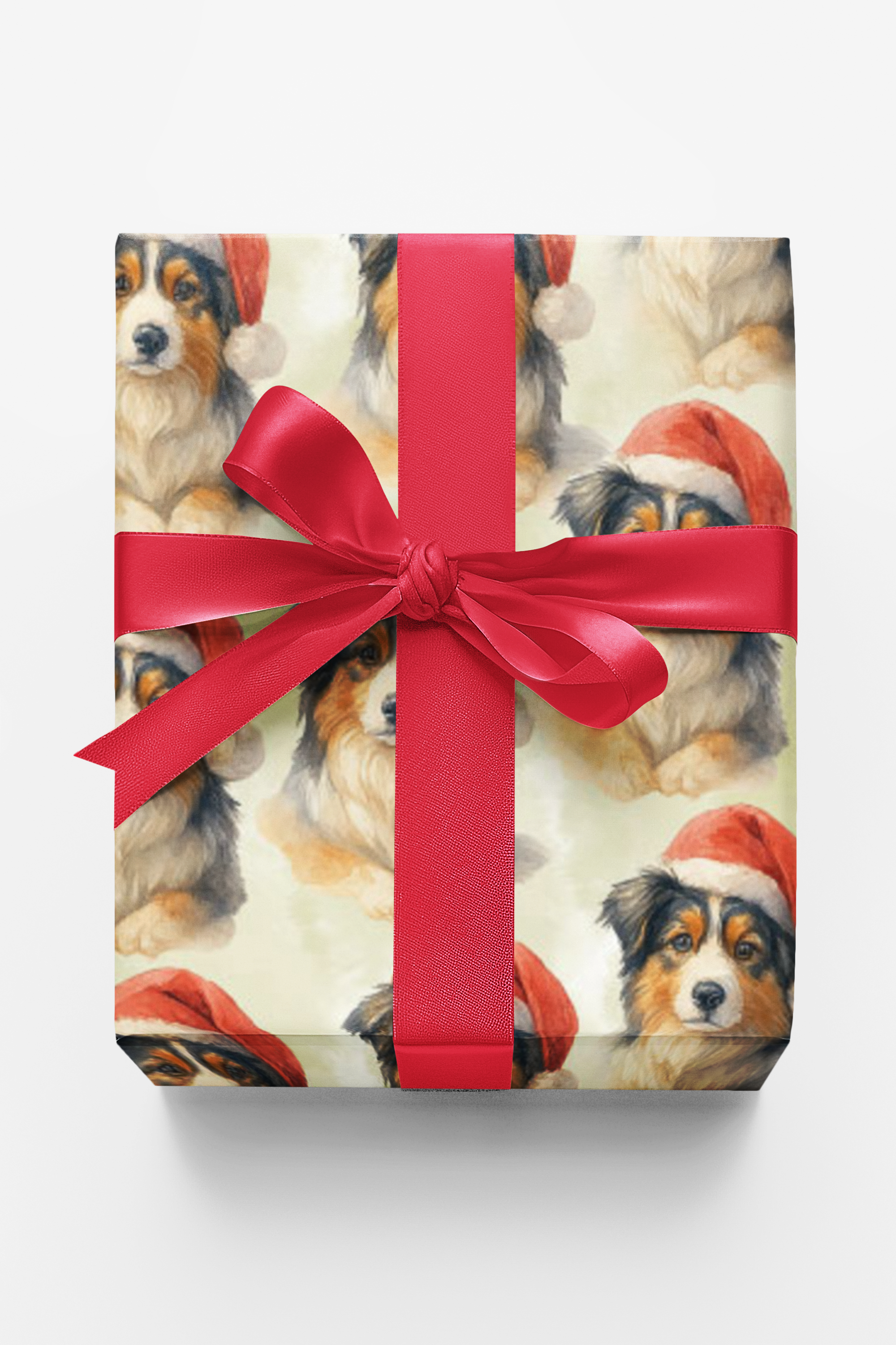 Little Herder, Big Cheer