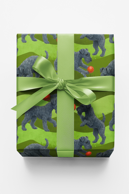 Garden Kerry Blue Terrier