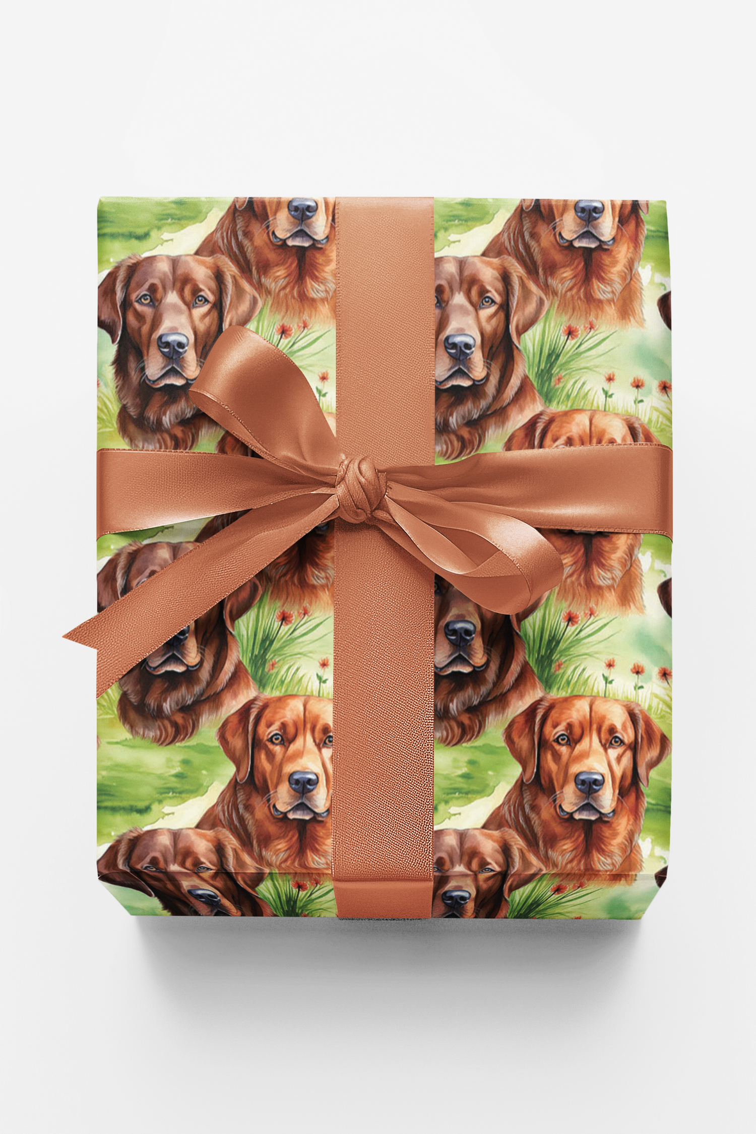 Bay Breeze Companion