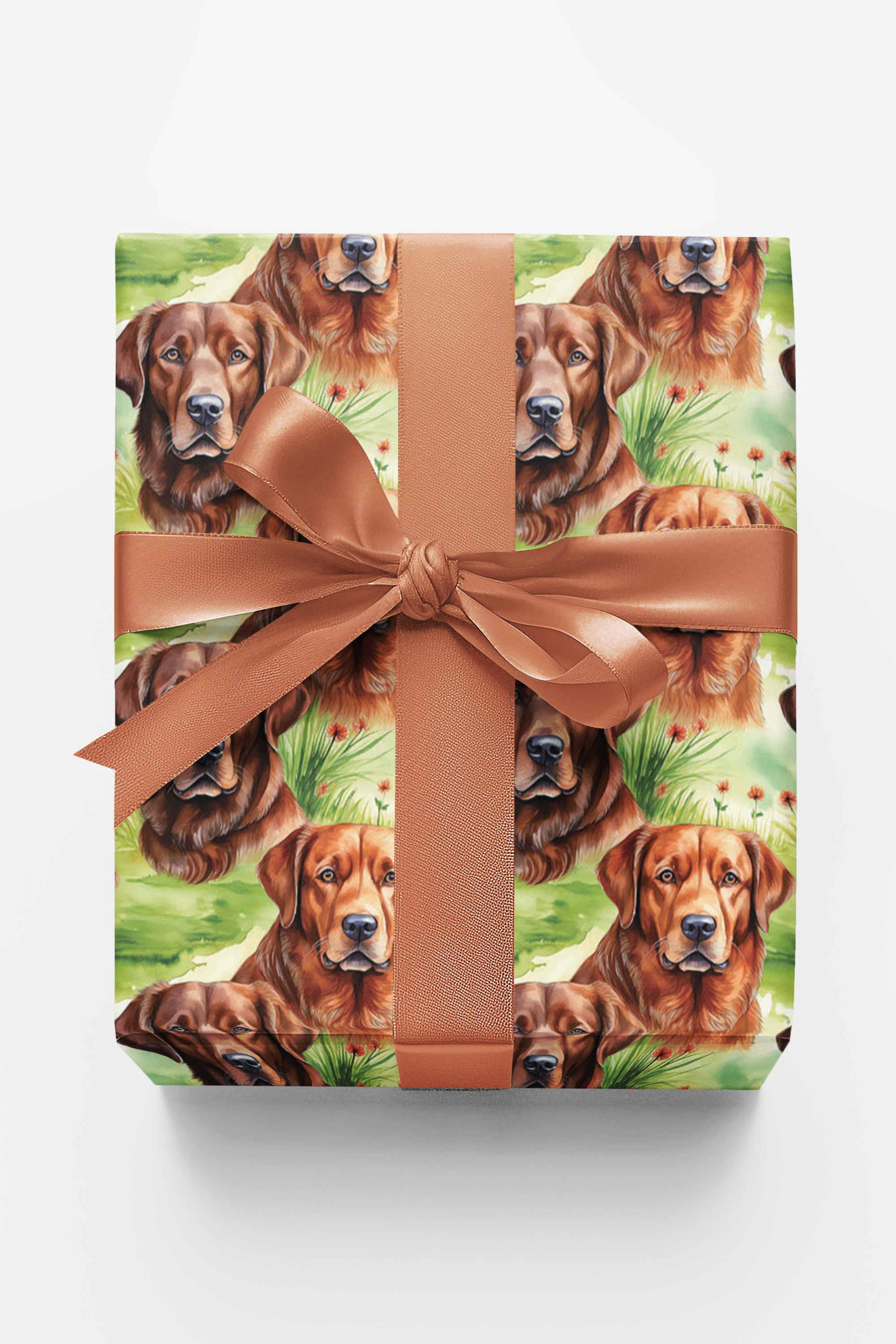 Bay Breeze Companion