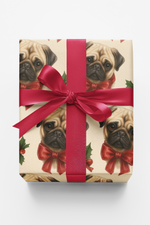 Snug & Snorty Nights